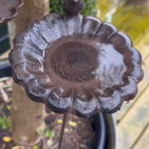 Fuglebad i jern fra Miljögården – Ø:18/H:78,5cm